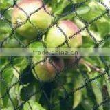 Offering Anti-bird Net