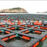 Floating Sea Cucumber and Abalone Net Cage