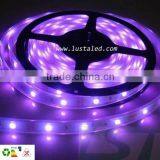 High Quality Led Flexible Strip Light,5050 SMD Led Strip Light thumbnail-1