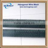 Black Color Heavy Lowes Chicken Wire Mesh Roll for Sale
