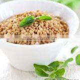 FENUGREEK METHI DANA thumbnail-3