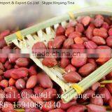 Wholesale China High Quality Wholesale Peanuts Prices thumbnail-2
