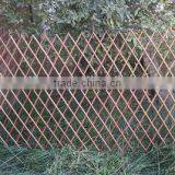 Willow Trellis for Garden Building