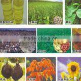Used Oil Cleanning/recycling by Biodiesel Machine/biodiesel Fuel Oil Plant thumbnail-1
