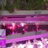 VANQLED LED Plant Grow Rigid Strip Lights With Plug Transformer Driver for Leafy Growth,Red Blue Grow Lamp Light thumbnail-3