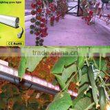New Design Interlighting 150W LED Grow Light Bar thumbnail-2