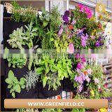 2017 New Products Indoor Artificial Vertical Garden Grass thumbnail-4