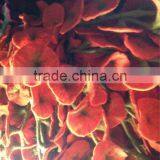 Handmade Felt Decorative Flower /Wool Flower/ Artificial Flower thumbnail-1