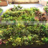 Home Garden Wedding Decoration 200cm*100cm Green Original Succulent With Moss Carpet Grass Wall E03 0501 thumbnail-3
