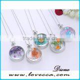 Cheap Golden Plated Alloy Chain Glass Heart Pendant Dry Flower Necklace thumbnail-4