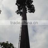 Guangzhou Artificial Communication Tower Tree Ornamental Plastic Palm Tree thumbnail-2