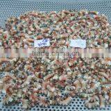 Cat Tiger Shrimps thumbnail-1