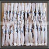 Hot Sale Whole Round Frozen Baby Squid thumbnail-5