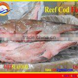 FROZEN WHOLE ROUND REEF COD FISH thumbnail-1