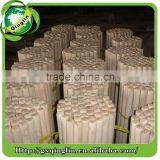 Eucalyptus Wooden Shovel Sticks for All Types Farm Tools thumbnail-6