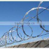 2017 Hot Sale Galvanized Razor Wire With Factory Price thumbnail-1