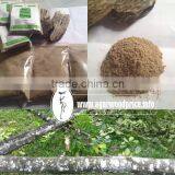 Making Incense Stick With Agarwood Powder or Oud Wood Powder thumbnail-1