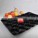 Canada Popular Wholesale Plastic Vacuum Forming PP Insert Tray For Fruit&Vegetable thumbnail-6