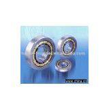 Cylindrical Roller Bearing thumbnail-1