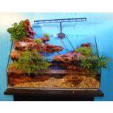 Aquarium Landscaping Decoration for Home and Office thumbnail-1