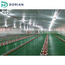 Double Floor Prefabricated Chicken Poultry Farm Shed thumbnail-4