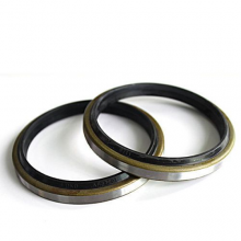 Hydraulic Wiper Seal China Oil Seal Manufacturer Dkb Type Dust Oil Seal Rubber Seal thumbnail-3