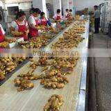 Qingdao Toboli International Trading Co., Ltd. company overview - view 2 thumbnail