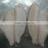 IQF frozen tilapia whole and fillet