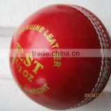 Test Leather Cricket Ball