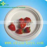 Eco-friendly Plate thumbnail-1