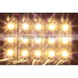 SDSLED IP65 Yellow Light DC12V 20PCS Waterproof 3528 Led Module