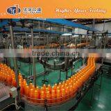 Filled Juice Bottle Conveyor System