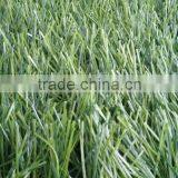 Artificial Turf For Football Fields