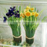 Onion Grass Artificial Flower Plant Cheap Bonsai Plants for Sale thumbnail-1