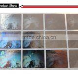 Transparent Hologram