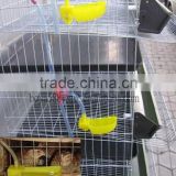 H type 6 tiers 360 birds laying cages for quail
