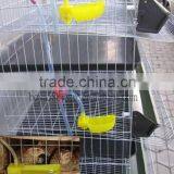 Galvanized Quail Cage for Laying Quail Use for Russia Farm thumbnail-1