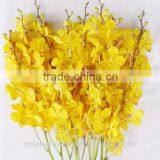 Colorful fresh cut baby orchid flowers high quality orchids and rose with 60-80cm long from Yunnan, China