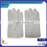 Premium Guante de Cuero For Importers /Leather Gloves thumbnail-4