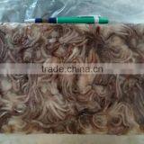 Squid Tentacle thumbnail-4