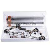 Compound Bow Fiberglass Limbs 20-70lbs Hunting Bow for Outdoor Sports Archery