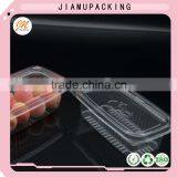 High Quality Disposable Plastic Fruit and Food Container thumbnail-2