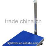 Portable platform scale