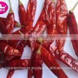 SANNAM/S4 NEW Crop Red Chilli