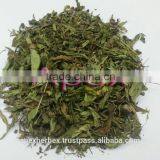 Apex Supplies Quality Stevia Rebudiana / Stevia Leaves