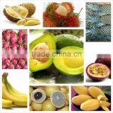 Fresh Tropical Fruit Sweet From Vietnam