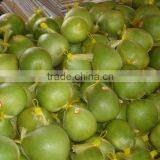 Vietnam Fresh Pomelo Competitive Price and High Quality