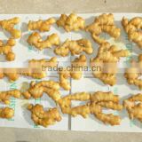 Fresh Ginger 150g and up