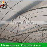 China Factory Direct Sale Multi-span uv Poly Greenhouse thumbnail-4