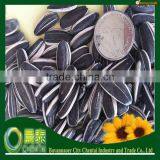 Export Plump Clean Less Vermin Damage Different Types Of Sunflower Seeds thumbnail-1